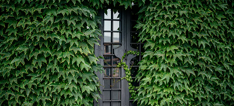 Garden Gate Repair in Fort Lauderdale, FL